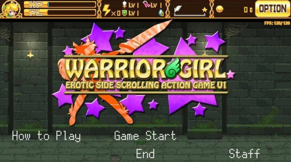 精灵战士少女warriorgirl截图