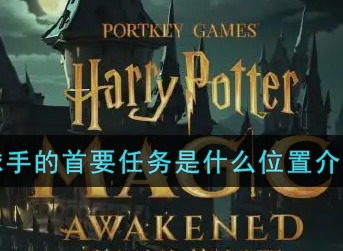 哈利波特魔法觉醒击球手的首要任务是什么位置介绍
