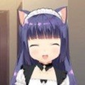 与小奶猫创造家族