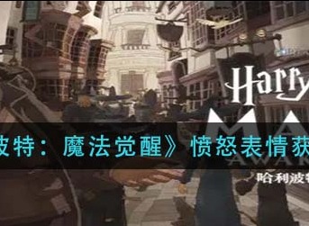 哈利波特魔法觉醒愤怒表情获取方法 哈利波特魔法觉醒愤怒表情怎么获得