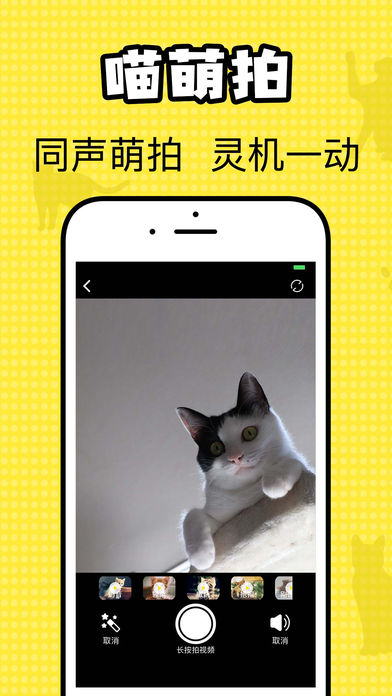 猫咪翻译官