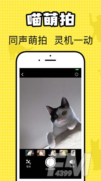 猫咪翻译官