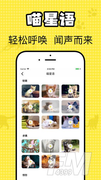 猫咪翻译官