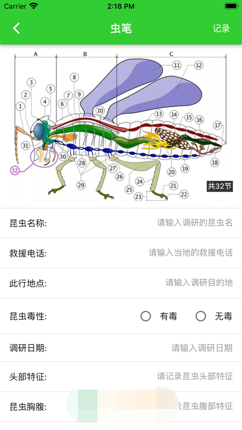 虫笔截图