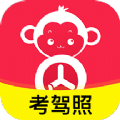 51小晶灵