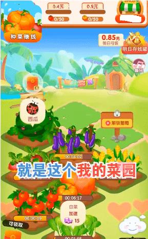 金色菜园