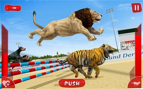 狮子赛跑3D截图