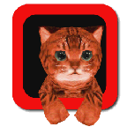 猫咪跑酷3D
