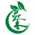 湛泸茶城