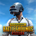 pubg冰墩墩辅助器