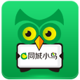 同城小鸟