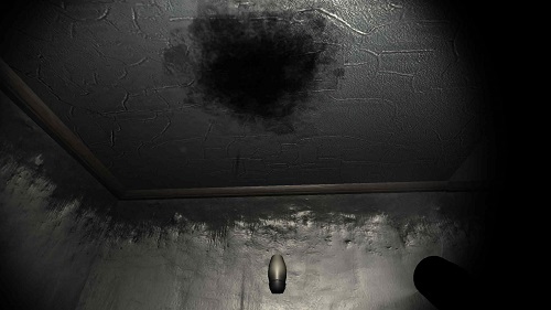 SCP087恐怖楼梯截图
