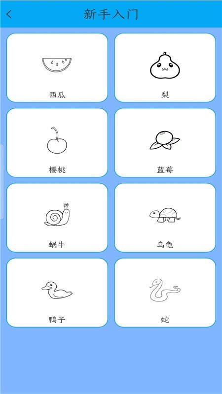 小公主魔法猫咪