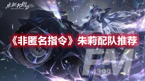 非匿名指令朱莉配队推荐