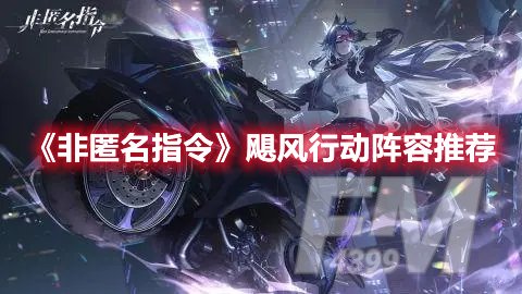 非匿名指令飓风行动阵容推荐