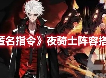 非匿名指令夜骑士阵容怎么搭配 非匿名指令夜骑士阵容搭配攻略
