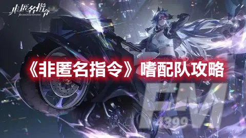 非匿名指令嗜配队攻略