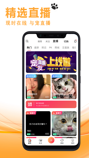 宠尤聊天交友app