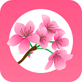 桃园交友免费