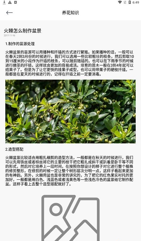 幸福花园君