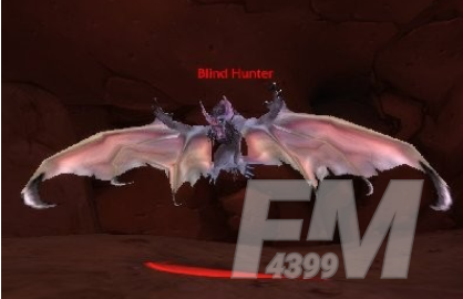 魔兽世界wlk蝙蝠宝宝在哪  wow蝙蝠宝宝刷新以及分布位置一览[多图]图片3