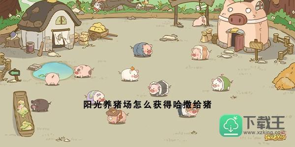 阳光养猪场怎样获得哈撒给猪-哈撒给猪获取方法一览