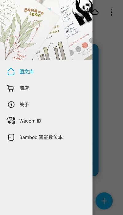 bamboo paper