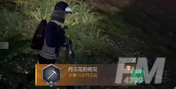 黎明觉醒月见花哪里采