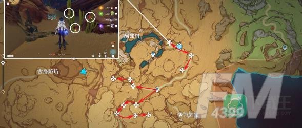 原神赤念果收集路线