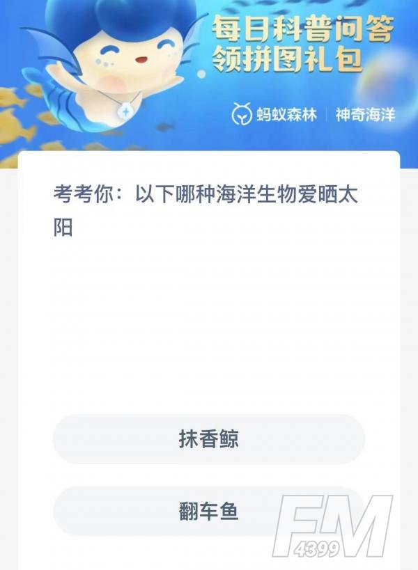 以下哪种海洋生物爱晒太阳-神奇海洋2.23今日科普问答答案