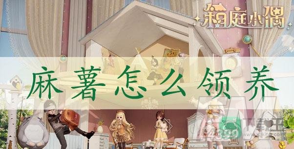 箱庭小偶麻薯怎么领养