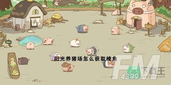阳光养猪场怎么获取棱角-棱角获取方法介绍