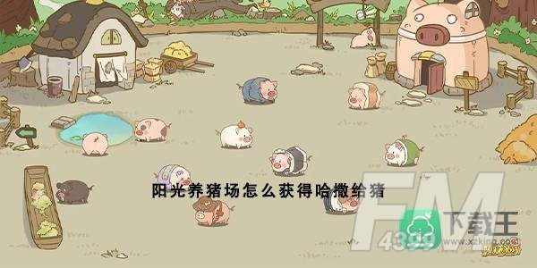 阳光养猪场怎么获得哈撒给猪