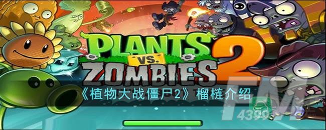 《植物大战僵尸2》榴梿介绍