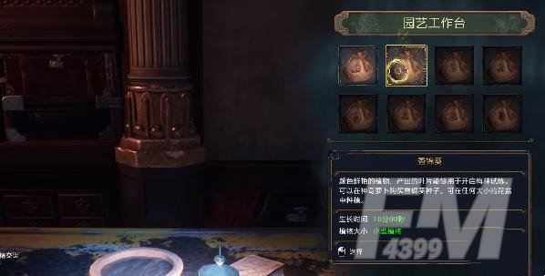 霍格沃茨之遗香锦葵怎么获得-香锦葵叶获取方法介绍