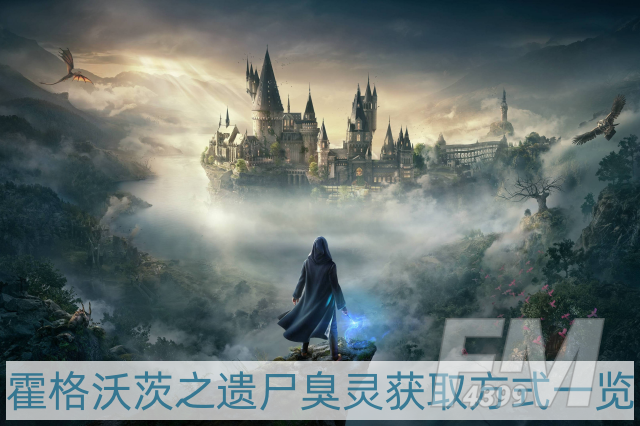 霍格沃茨之遗尸臭灵在哪-尸臭灵获取方式一览