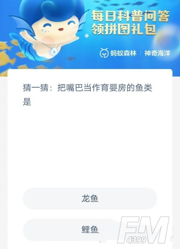 猜一猜把嘴巴当作育婴房的鱼类是-神奇海洋2.13今日科普问答答案