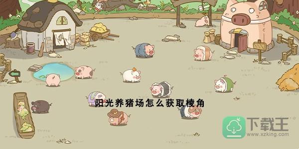 阳光养猪场怎样获取棱角-棱角获取方法介绍