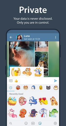 纸飞机中文版app