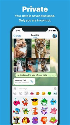 telegram纸飞机交友