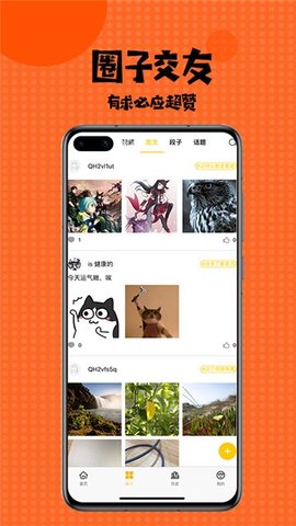 mimimi动漫