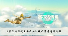 塞尔达传说王国之泪魂之贤者是什么身份 魂之贤者身份分享