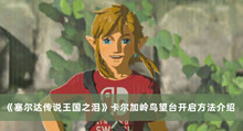 塞尔达传说王国之泪卡尔加岭鸟望台如何开启 塞尔达传说王国之泪卡尔加岭鸟望台开启方法分享