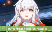 崩坏星穹铁道铁皮花朵如何用 铁皮花朵用途分享
