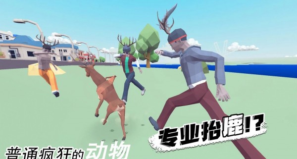 普通疯狂的动物