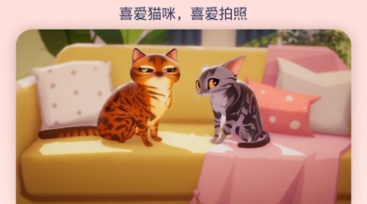 我的猫咪俱乐部新