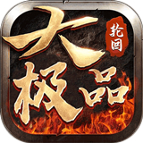 轮回大极品
