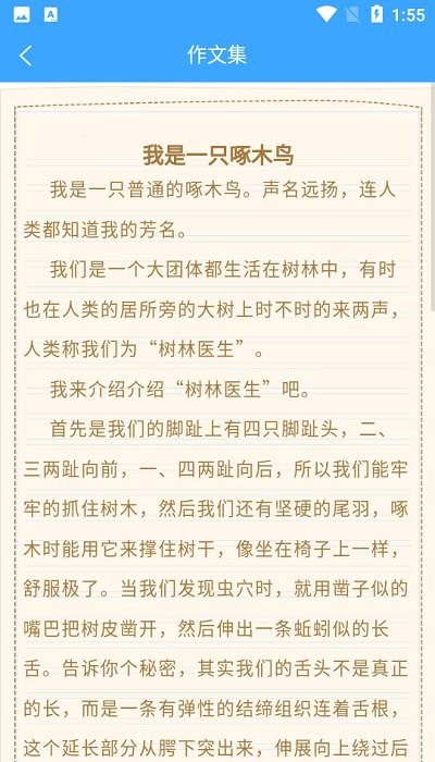 美篇作文