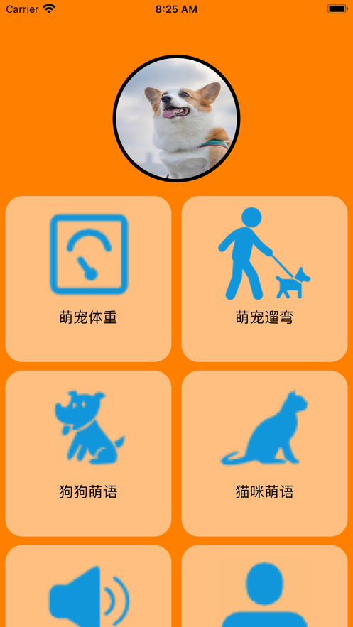 爱宠记录