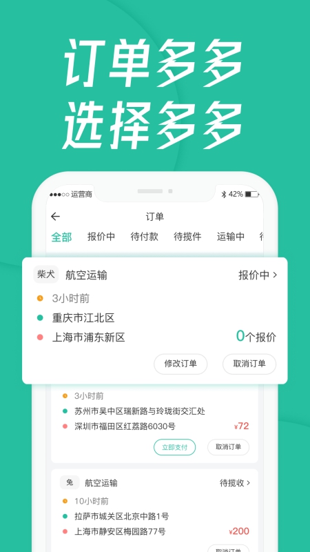 宠贝贝宠物托运